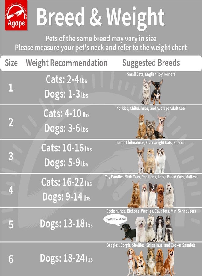 Agape Soft Dog Cone for Small Dogs & Cats, Comfy Dogs Recovery Collar After Surgery, Adjustable E Collar Alternative to Stop Licking, Protective Elizabethan Collars for Pup, Comfortable Dog Cones - Image 3
