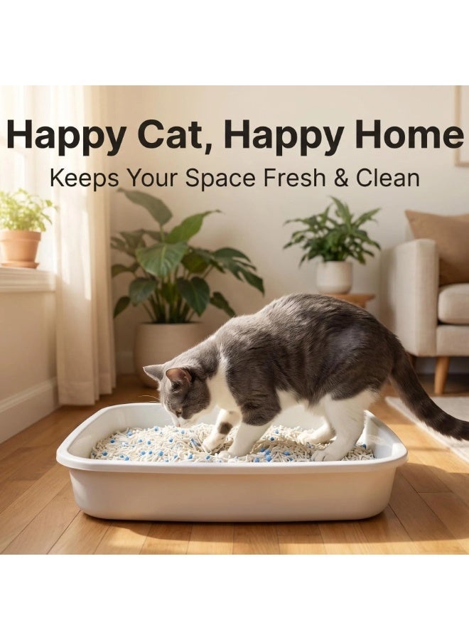 TUXTOOX Plant-Based Cat Litter - 2.5kg Eco-Friendly Tofu Litter, Fast Clumping, Low Dust, Superior Odor Control (Unscented) - Image 4