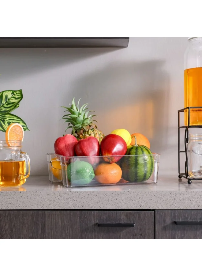 DANUBE HOME Danube Home Proo Fridge Organiser 38 X 21 X 9.5Cm | Pet Fridge Organiser | Fruits And Vegetables Storage Box For Home - Clear