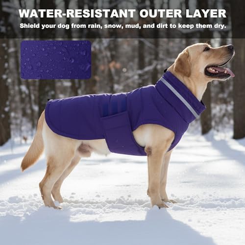 Mklhgty Waterproof Dog Coat for Medium and Large Dogs, Warm Dog Winter Jacket, Reflective Windproof Turtleneck Coats with Adjustable Hook & Loop - Purple - L - Image 5