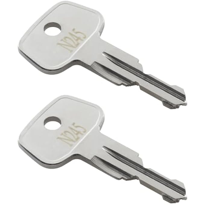 rayihni N245 Key Replacement (2 Pcs) for Thule Ski,Cargo Box,Roof,Crossbars and Carrier Racks Code N245 - Image 1
