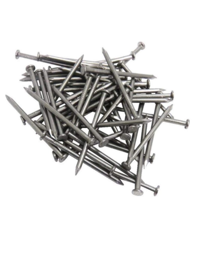High Strength Round Head Nails For Carpentry Hardware Electrical Etc (25, 2 1/2 inch) - Image 2