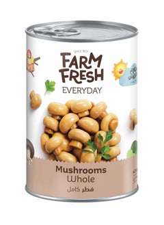 Farm Fresh Mushrooms Whole 425g  - Image 1