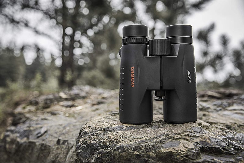 Tasco ES8X42 Essentials Roof Prism Roof MC Box Binoculars - Image 2