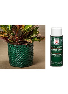 Oasis Design Master Colour Spray Paint Multi-Surface For Wood, Metal, Wall, Glass, Fabric, Flowers - 760 Hunter Green - 450gms - 1 No  - Image 5