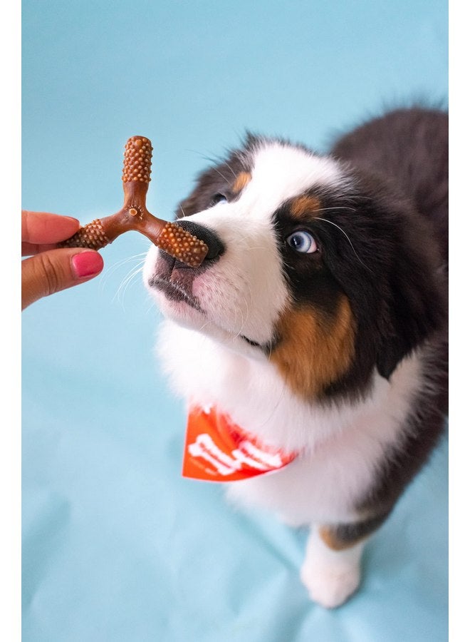 Nylabone Nutri Dent Dog Dental Chews - Natural Dog Teeth Cleaning & Breath Freshener - Dental Treats for Dogs - Filet Mignon Flavor, Small (1 Count) - Image 2