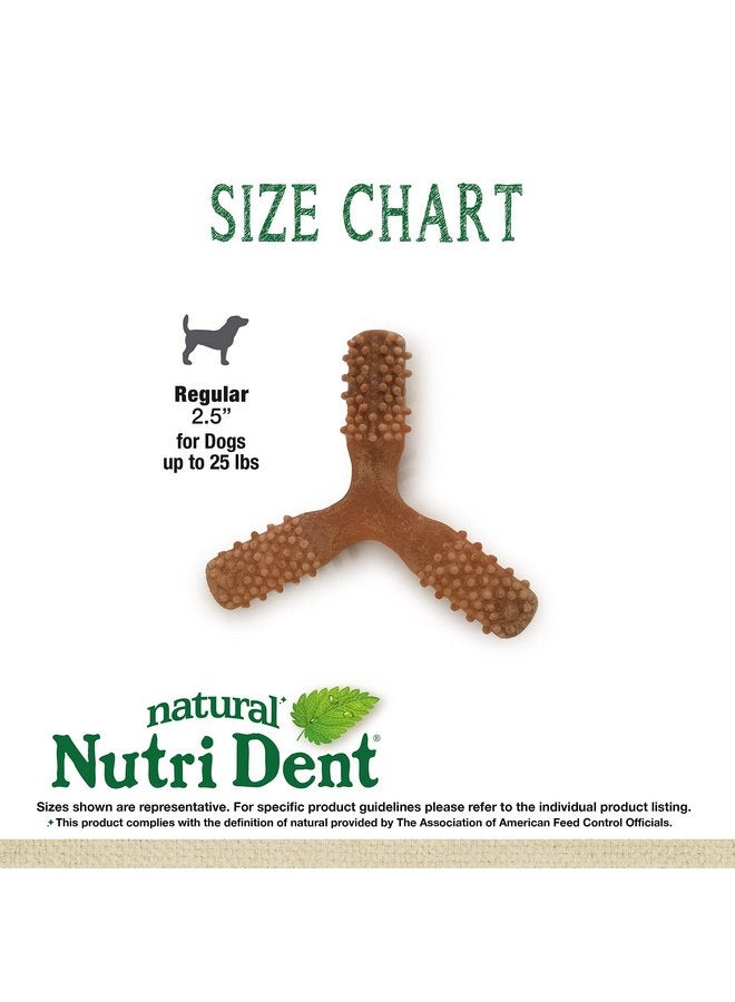 Nylabone Nutri Dent Dog Dental Chews - Natural Dog Teeth Cleaning & Breath Freshener - Dental Treats for Dogs - Filet Mignon Flavor, Small (1 Count) - Image 4