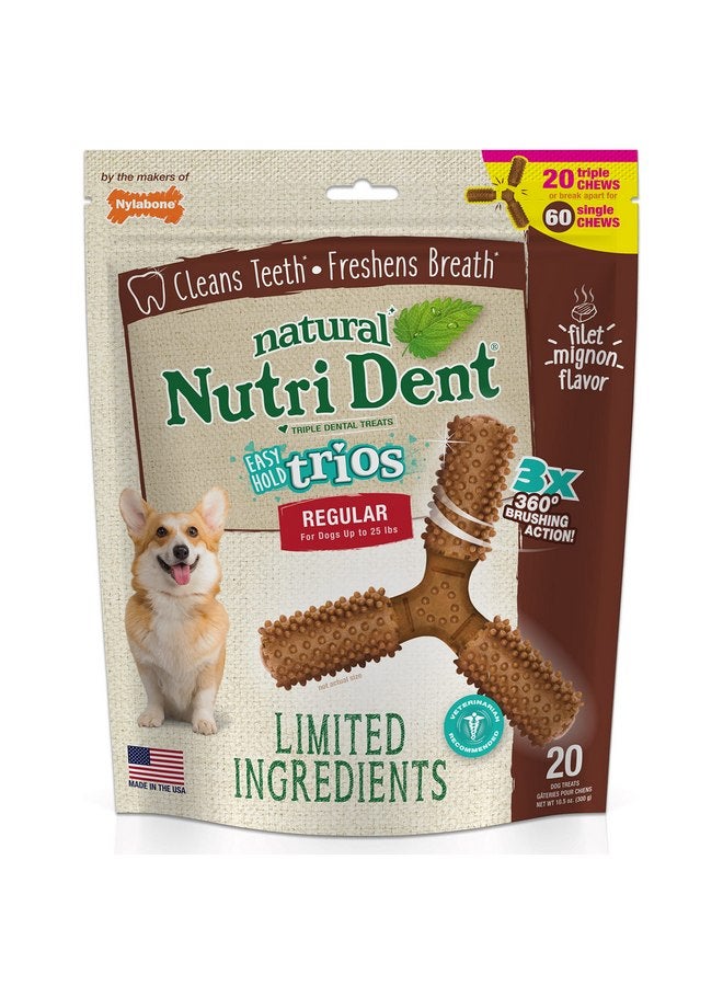 Nylabone Nutri Dent Dog Dental Chews - Natural Dog Teeth Cleaning & Breath Freshener - Dental Treats for Dogs - Filet Mignon Flavor, Small (1 Count) - Image 1