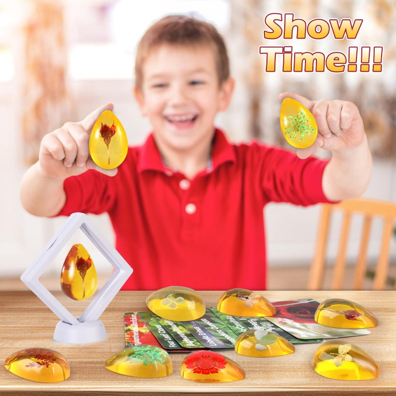 Woumserta WOUMSERTERA FLOWER AMBER DIG KIT - 8 عينات زهور مجموعة الحفر لعبة زهرة للأطفال فتيات النباتات هدية حفر ألعاب نبات الزهور للفتيات 6 وما فوق عيد ميلاد عيد الحب عيد الحب - Image 4