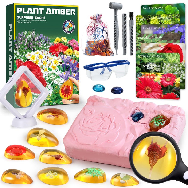Woumserta WOUMSERTERA FLOWER AMBER DIG KIT - 8 عينات زهور مجموعة الحفر لعبة زهرة للأطفال فتيات النباتات هدية حفر ألعاب نبات الزهور للفتيات 6 وما فوق عيد ميلاد عيد الحب عيد الحب - Image 1