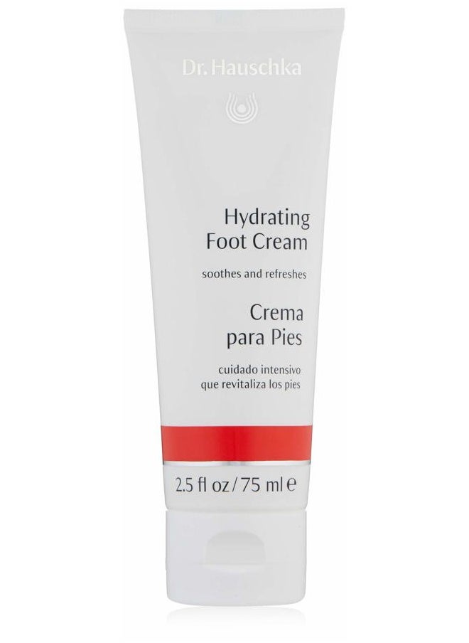 Dr. Hauschka Hydrating Foot Cream, 2.5 Fl Oz  - Image 1