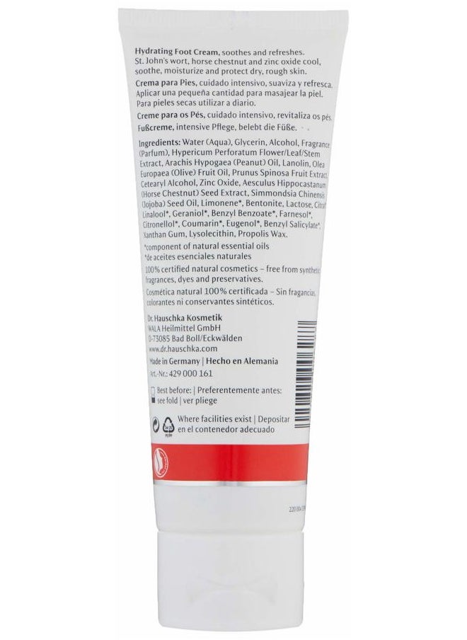 Dr. Hauschka Hydrating Foot Cream, 2.5 Fl Oz  - Image 2