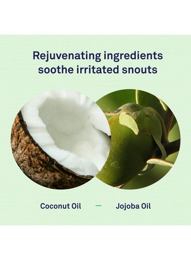 Petpost | Snout Balm for Dogs - Nourishing Snout Soother Balm Heals Dry Dog Noses with Moisturizing Ingredients - Organic Coconut Oil, Jojoba Oil, and Shea Butter 0.64 oz. - Image 4