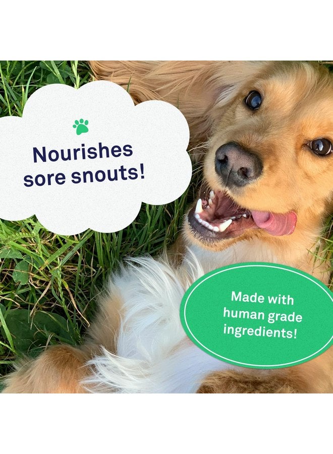 Petpost | Snout Balm for Dogs - Nourishing Snout Soother Balm Heals Dry Dog Noses with Moisturizing Ingredients - Organic Coconut Oil, Jojoba Oil, and Shea Butter 0.64 oz. - Image 3
