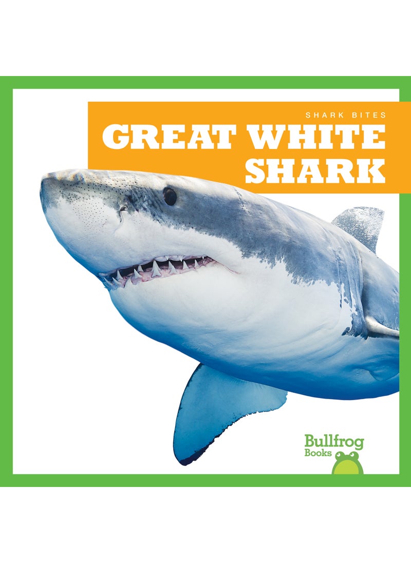 Great White Shark - pzsku/ZFBF585C4148A712A7573Z/45/_/1734526162/bd24acff-65dd-49b1-bc3f-9d967ee033ba