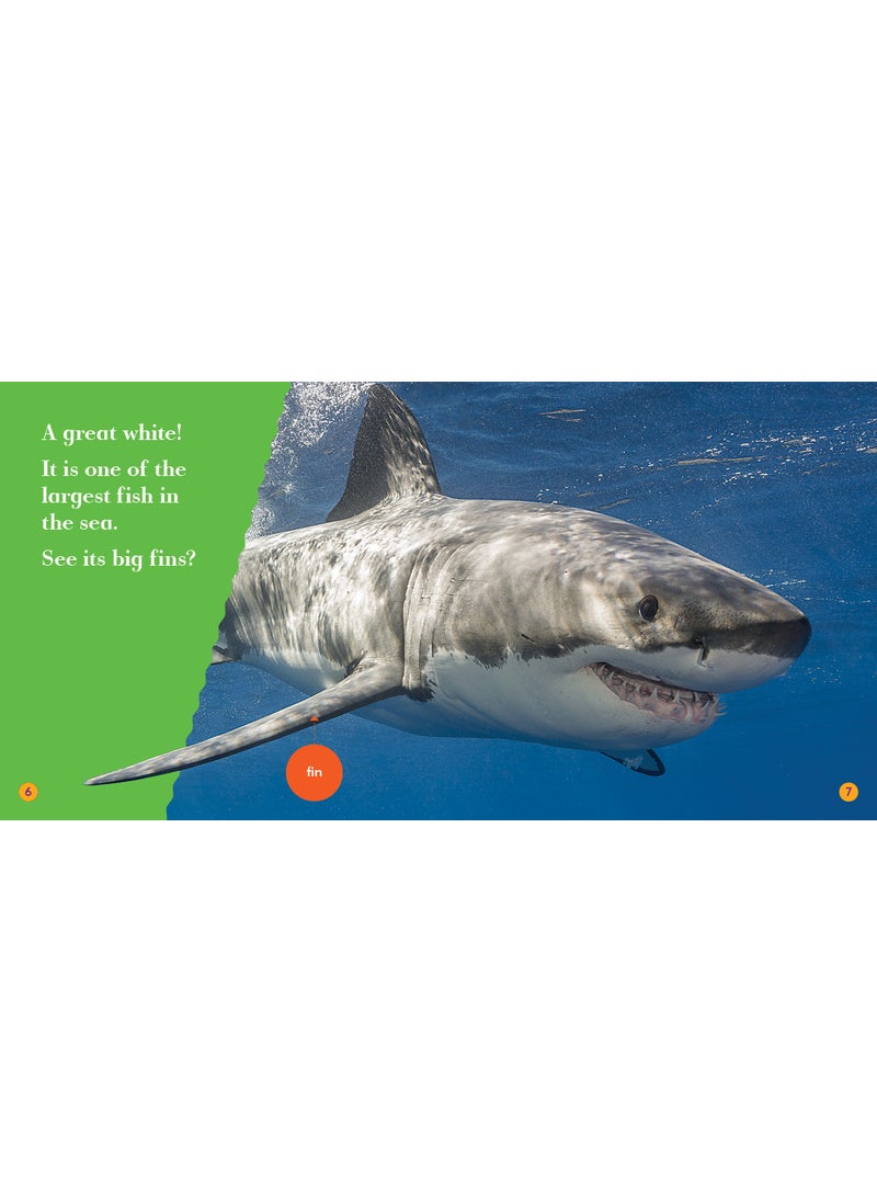 Great White Shark - pzsku/ZFBF585C4148A712A7573Z/45/_/1734526188/d27083d7-59dd-4b9e-a34e-942bbe29d332