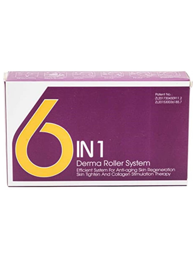 Derma - 6 in 1  Rollers Kit for Face and Body - Image 1