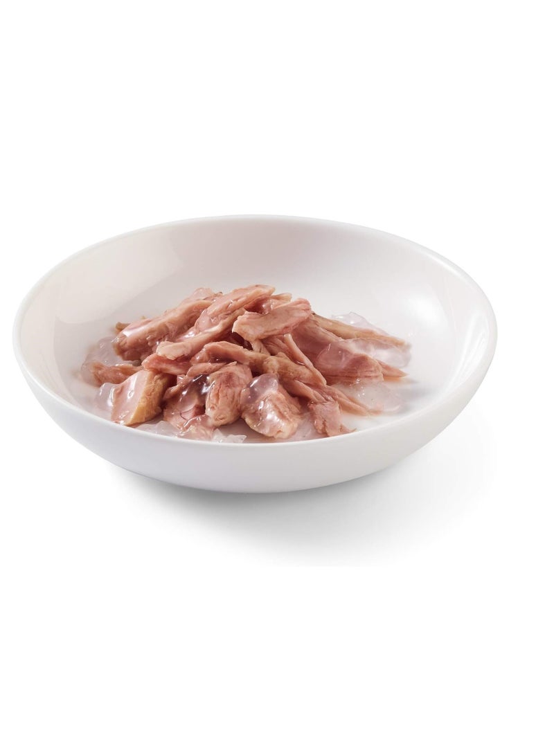 Schesir 24 قطعة من فيليه التونة في الجيلي طعام رطب للقطط البالغة 140 جرام - Image 2