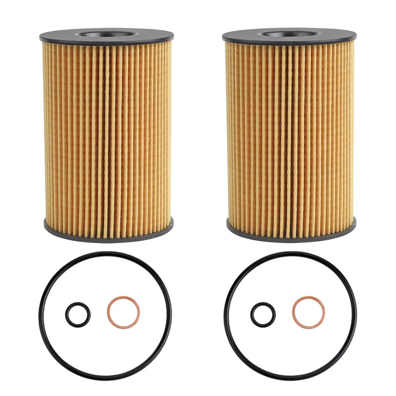 Oil Filter Fits for BMW X5 X6 X7 F10 F15 N63 N63tu S6320082022 X6 20092019 750i750Li 20172019 750Li xDrive 20112016 550i550i xDrive Replaces OX 3537D ECO P40104 P987 PG59042 Pcs