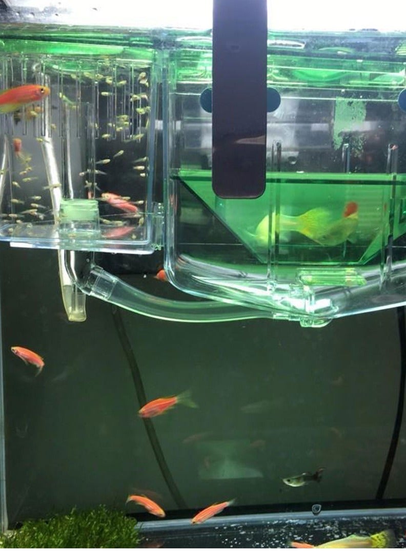 Ornamental Fish Breeding Tank – Safe Separation Box for Fry, Gentle Suction System to Protect Baby Fish from Adult Fish in Aquariums - Image 5