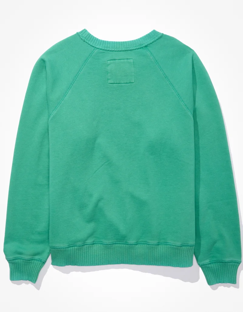 American Eagle AE Funday Graphic Sweatshirt
