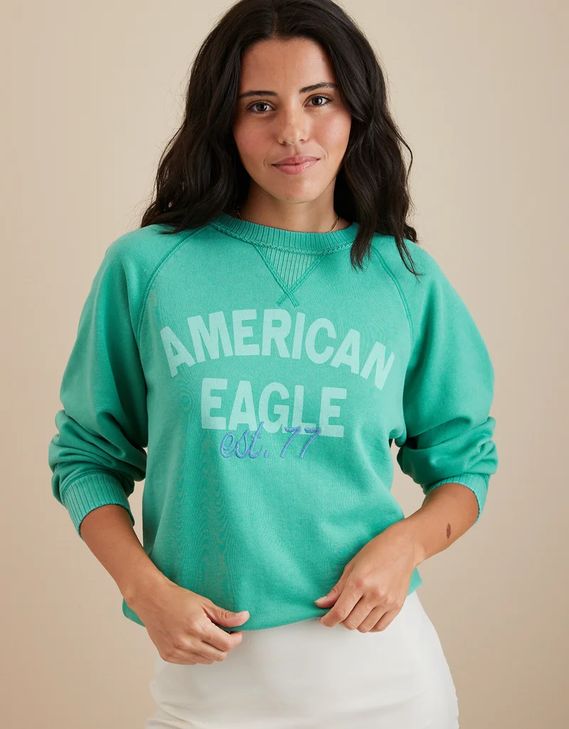 American Eagle AE Funday Graphic Sweatshirt