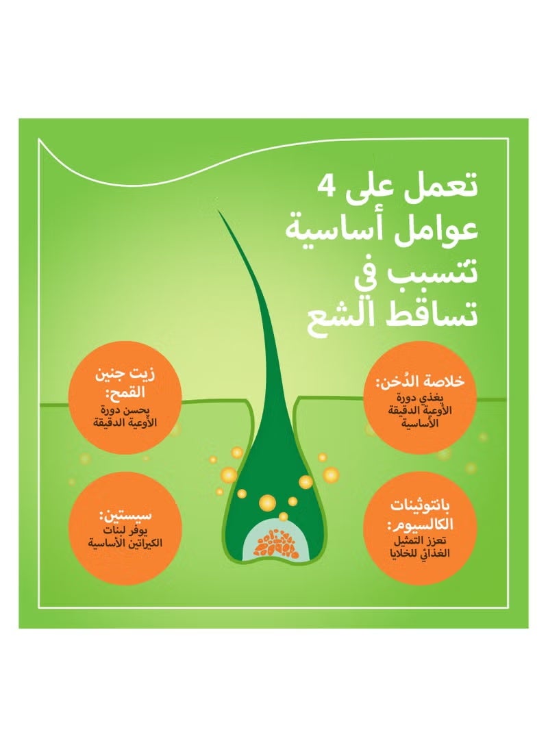 بريورين برايورين ن مقوي للشعر 90 كبسولة - Image 4