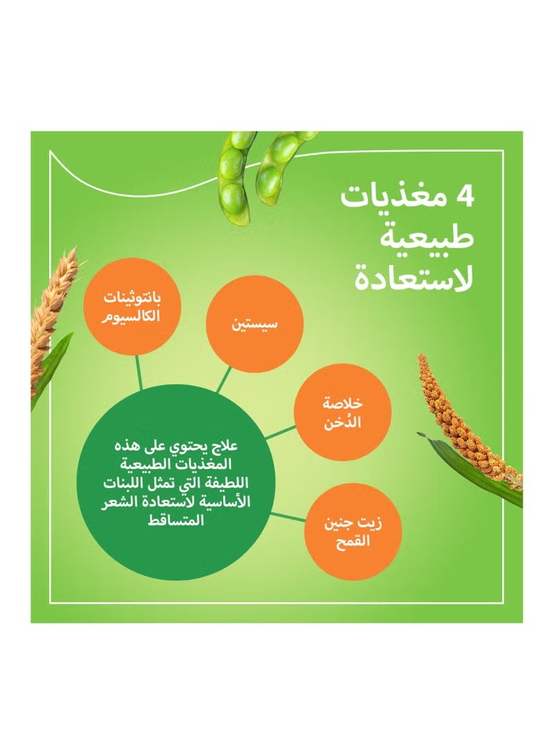 بريورين برايورين ن مقوي للشعر 90 كبسولة - Image 2
