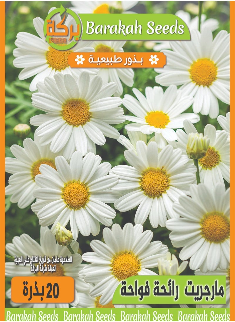 Generic High germination rate seeds - aromatic - Marguerite flower 