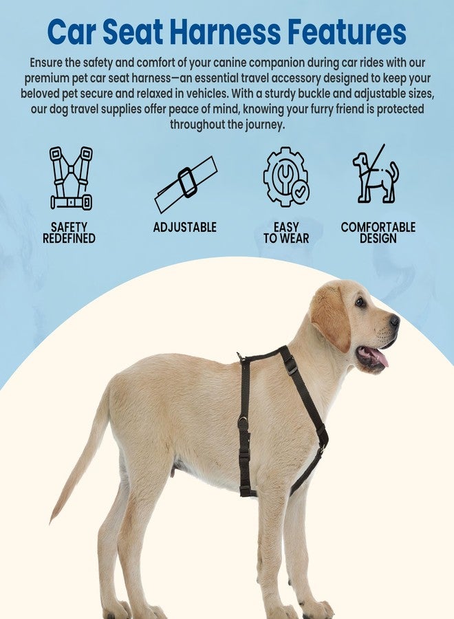 FidoRido Dog Car Seat Strap Expansion Kit - Secure & Comfortable Travel Supplies for Dogs in Vehicles, Keep Your Pet Safe, Sturdy, Dog Travel Accessories, Adjustable Sizes, Black - Small, 8" - 16" - Image 3