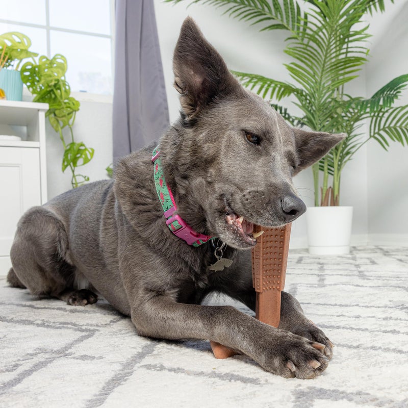 SPOT Bam-Bones Plus T Bone - Bamboo Fiber & Nylon Dog Chew Toy for Moderate to Aggressive Chewers, Non-Splintering, Long-Lasting, 7in Beef Flavor, for Adult Dogs & Teething Puppies Under 90lbs - Image 5