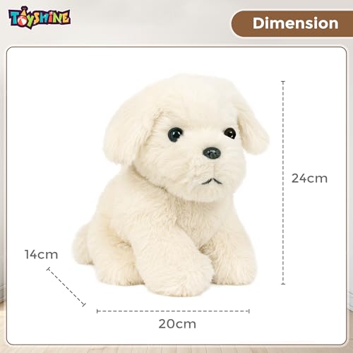Toyshine 23cm Soft Stuffed Puppy Plush Toy | Adorable Sitting Dog with Collar | Birthday Gift for Kids | Hugging Gift for Girls, Boys & Dog Lovers - Image 5