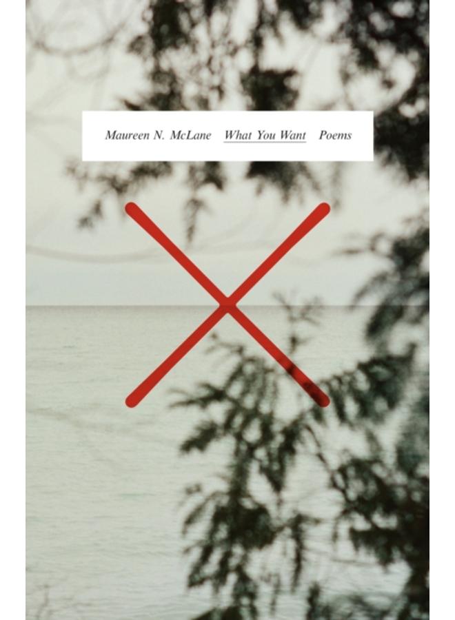 What You Want : Poems 