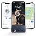 Tractive Smart Cat GPS Tracker RealTime Location Wellness Monitoring for Cats 65 lbs Territory Location History Up to 5Day   Breakaway Collar Included Dark Blue - Image 1