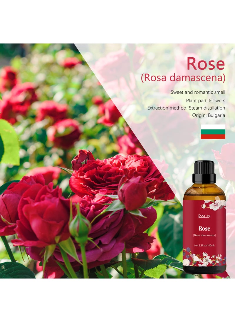 ESSLUX Rose Essential Oil 100ml (3.3 Fl Oz), ESSLUX Aromatherapy Essential Oils for Diffuser, Massage, Soap, Candle Making, Home Fragrance  - Image 2