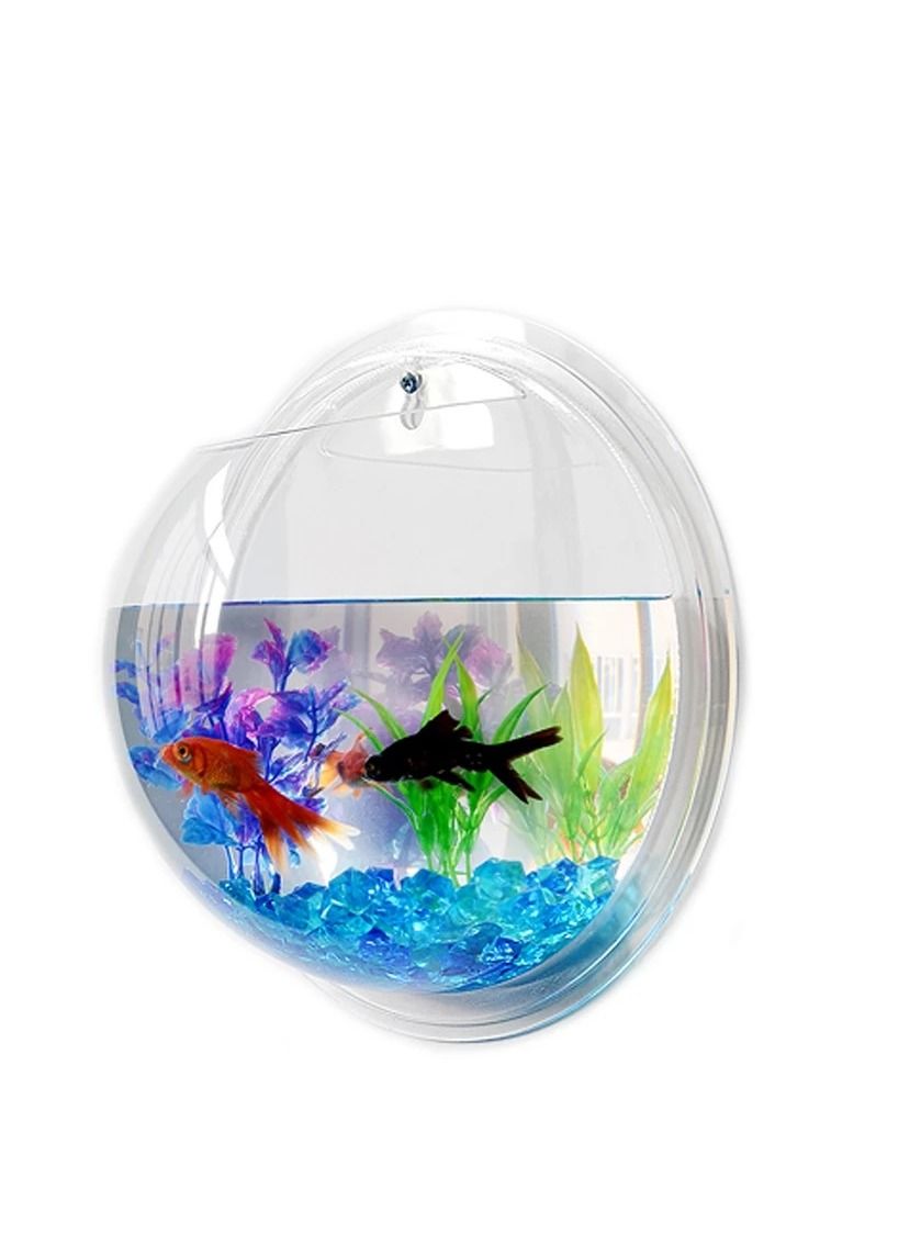 hanging fish tank