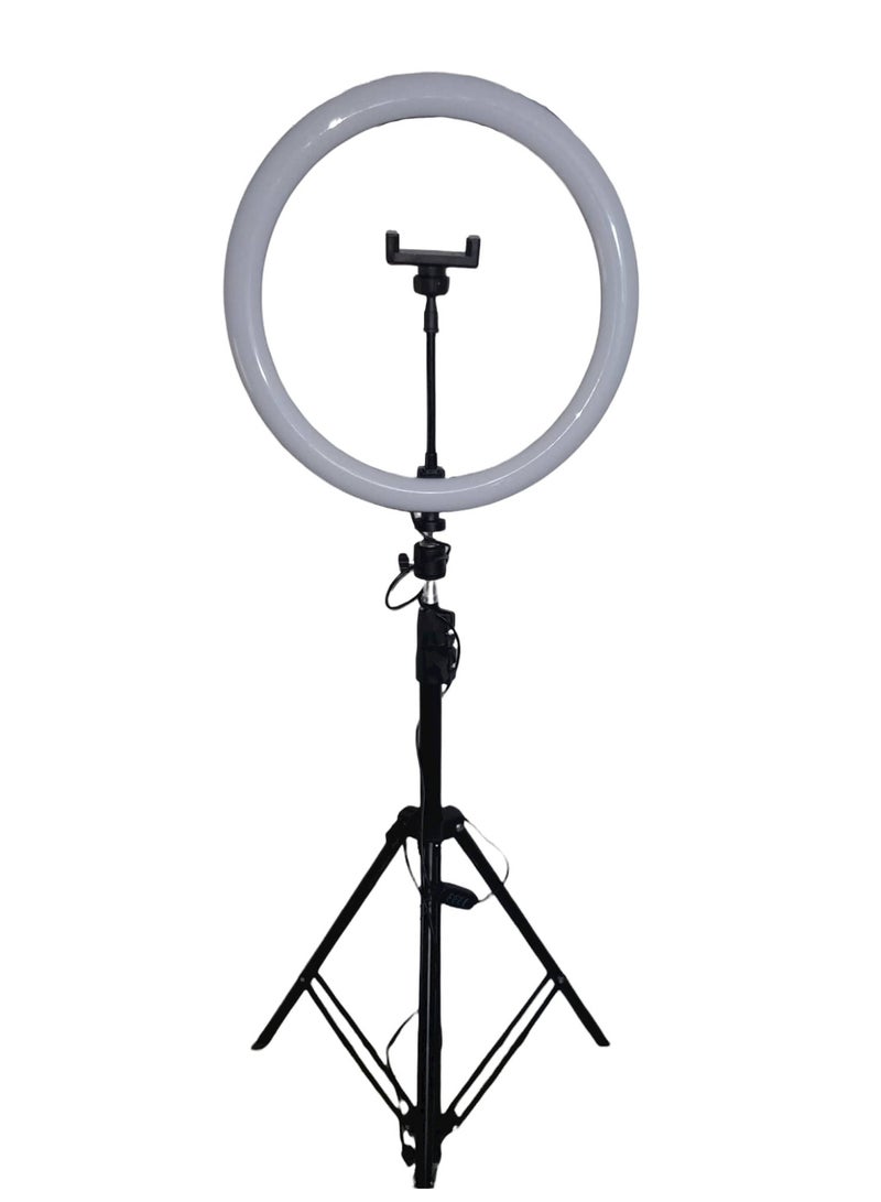 2.10M Portable Tripod Stand with Mobile Holder,33cm Flash Light Stand, Foldable Photography Studio Light Stand (Black) - Image 1