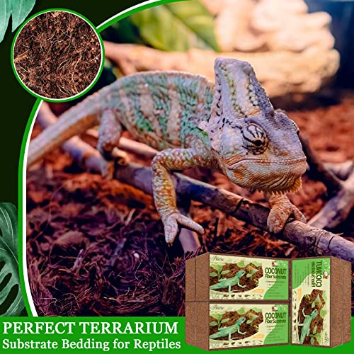 Riare 6 Pack Natural Coconut Fiber Substrate for Reptile- Premium Compressed Coconut Husk Terrarium Bedding for Reptile, Tortoise, Frogs, Snakes Hermit Crabs, Burrowing Animals - Image 5