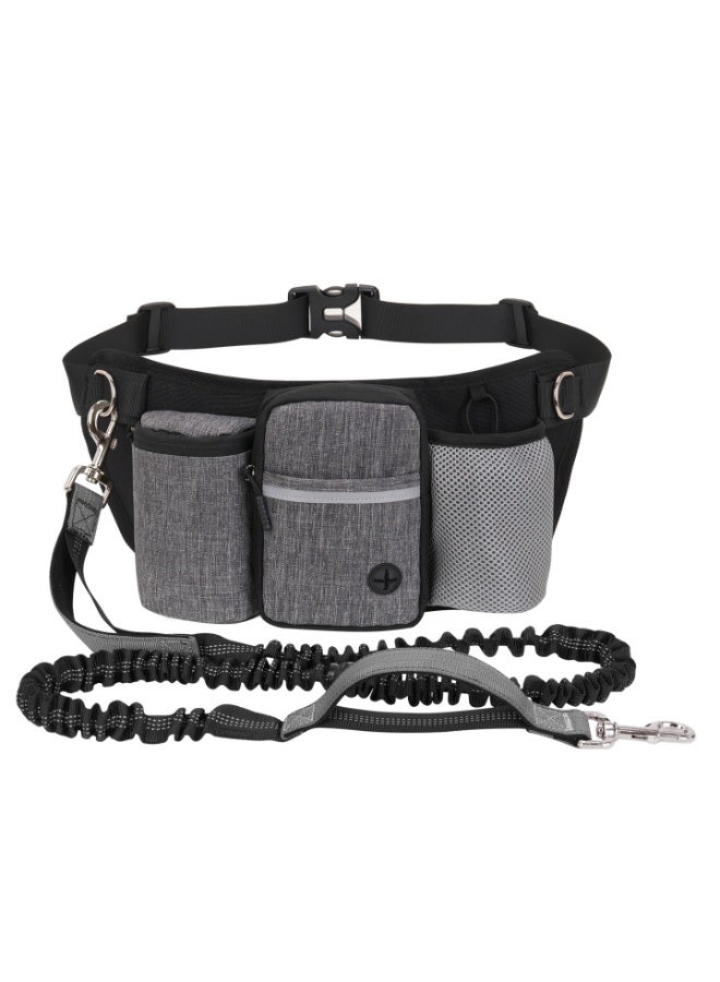 LANNEY Hands Free Dog Running Leash with Multi-Pocket Waist Belt - Image 1