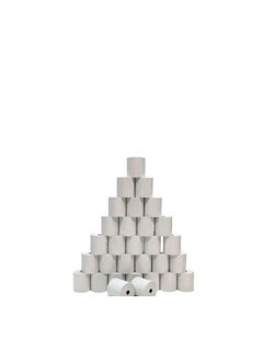Terabyte Set Of 30 Thermal POS Paper Rolls  - Image 1