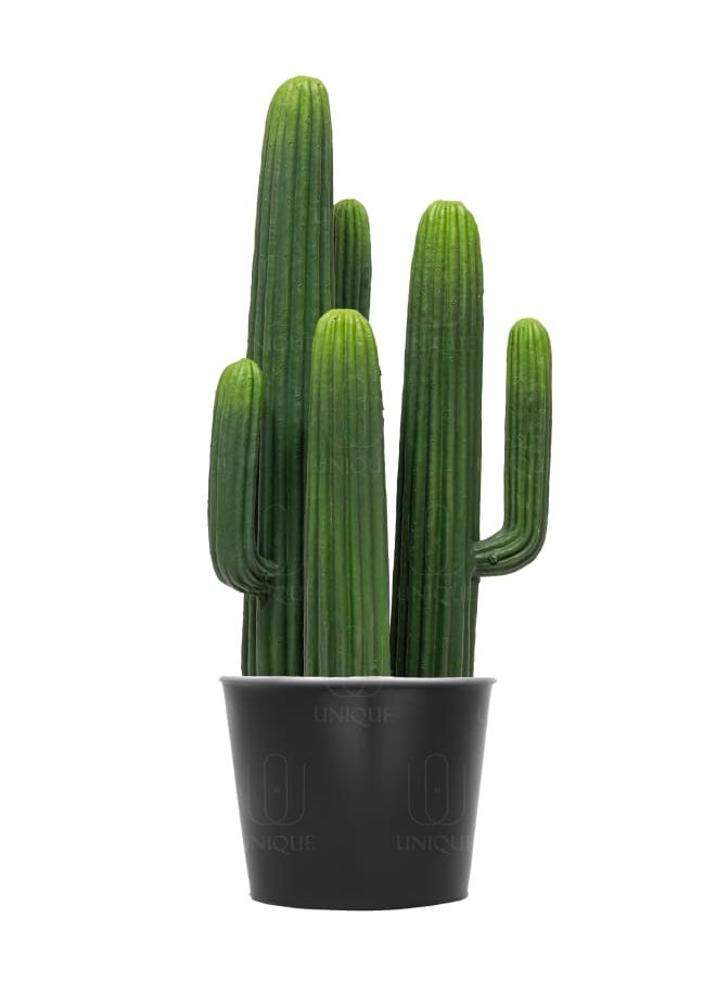 Unique Pots And Plants Cactus Artificial Plant Triple Stem H66CM 