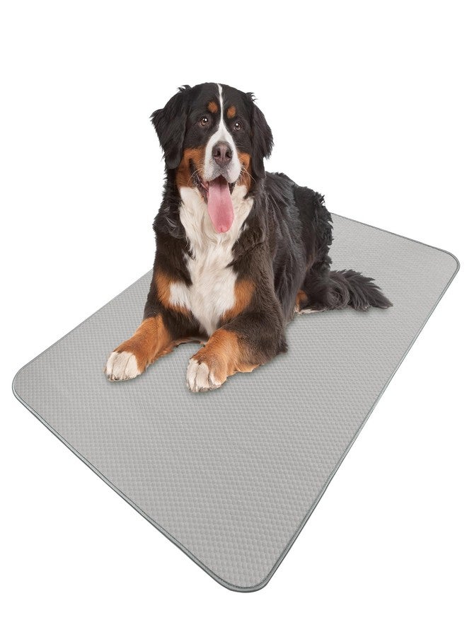 Buvlnee Summer Dog Cooling Mat Washable Ice Silk Self Cool Pad for Large Dogs and Cats, 59x40in Pet Sleeping Pad for Crate, Bed, Indoor & Outdoor Floor, Car Seats - Image 1