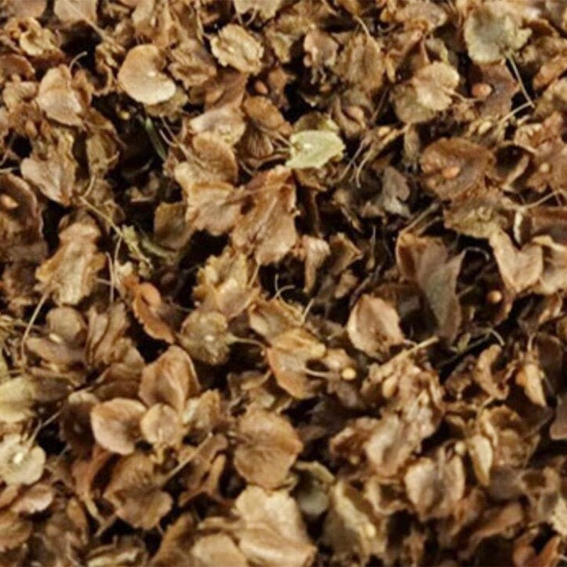 كلاراكو أوراق مصغرة، نموذج مصغر ثابت لسكك حديدية، مواد بناء مناظر طبيعية للحدائق، تصميم طاولة، ديكور مناظر طبيعية، زجاجة 260 مل - Image 3