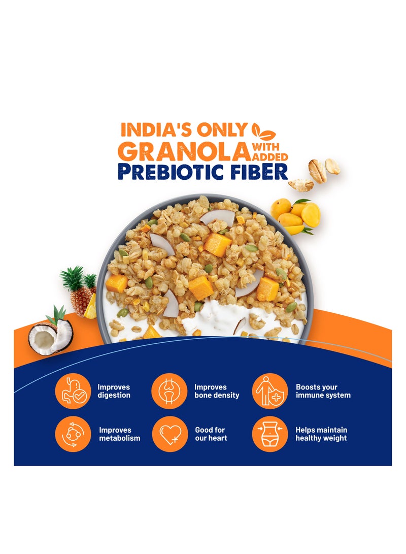 Generic Fit & Flex High Protein Fiber Granola - 275g  - Image 4