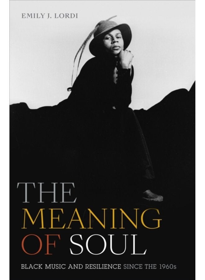 The Meaning of Soul Black Music and Resilience since the 1960s - Paperback