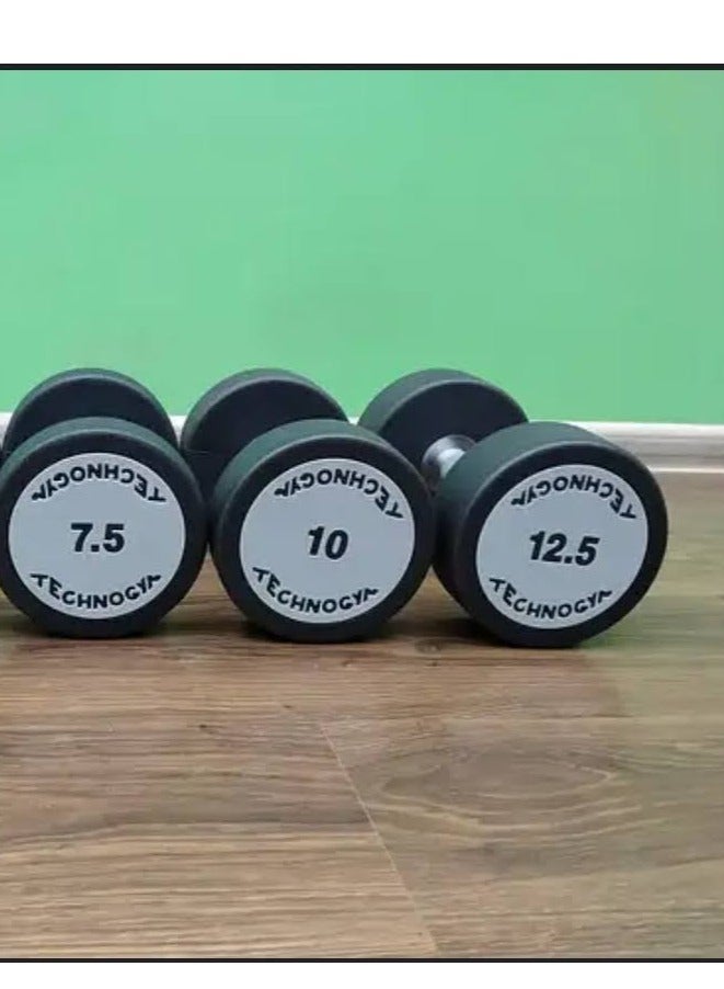 TPU Techno Dumbbell 2 pieces 12.5 kg