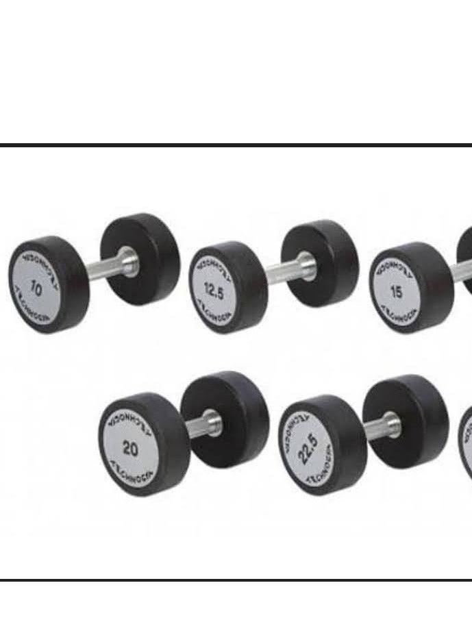 TPU Techno Dumbbell 2 pieces 12.5 kg