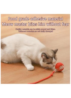 Interactive Rolling Cat Toys Ball, Interactive Rolling Dog Ball, Motion Activate Rolling Pet Toys, Automatic Self Moving Dog/Cat for Indoor Cats Toys Fast Rolling on Carpet - pzsku/ZFC0807C84C8A61DD6F74Z/45/_/1731657253/c231db38-2f53-4659-8729-68b5973720bf