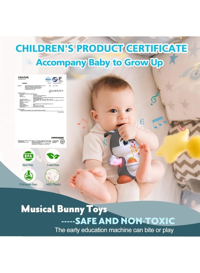 MOONTOY Musicaux HA9991 Baby Boy Girl Toy - Educational Toy Crawling Rabbit with Music and Light - Sensory Learning Game for 2 Year Olds, Early Gifts 6 7 8 9 12 18 24 Months - Image 5
