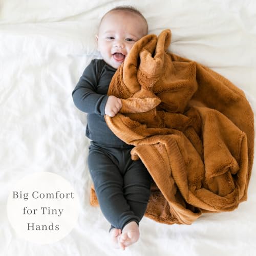 SARANONI Luxury Receiving Blankets for Babies | Ultra-Soft Lush and Boutique Quality Baby Blanket | Ballet Slipper Pink - 40" x 30" - Image 2